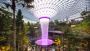 Discover the Rain Vortex & Canopy Park at Jewel Changi