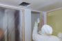 Top Mold Removal in New Jersey – Certified Experts