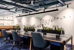 Commercial Office Space in Noida - Noida