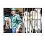 Foster Dog Meat Survivors – Rescue a Dog From China