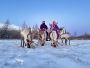 Guided Tours Mongolia