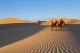 Gobi Tour Operator Mongolia