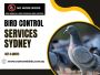 Bird Control Services Sydney