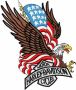 C130 Patches for You | True Digitizing