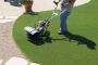 Pet-Approved Turf for Dogs