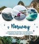 Apply online for Norway tourist visa