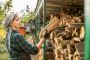 Sydney Cheap Timber Solutions: Explore Our Options Sydney Cheap Timber Solutions: Explore Our Options