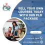 Sell Your Own Courses Today with Our PLR Package