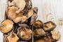 How To Make A Delicious Magic Mushroom Tea Easily? How To Make A Delicious Magic Mushroom Tea Easily?