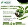 best Ayurvedic Franchise Company in India