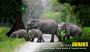 Embark on an Unforgettable Dooars Tour Packages from Kolkata