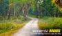 Explore Scenic Beauty : Dooars Package Tour from NJP