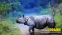 Book Your Dooars Tour Package with Jaldapara Elephant Safari