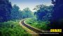 Unleash the Explorer with Dooars Tour Packages from Kolkata