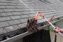 Moss Removal Services