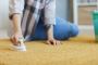 Eliminate Stubborn Carpet Stains with Our Specialist Removal