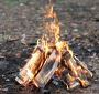 Firewood in New York: Premium Wood for Every Season