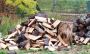 Firewood for Sale in New York: Premium Quality & Fast Delive