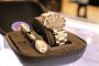 NY Watchmarket
