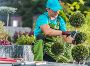 Oakland Tree Service Oakland Tree Service