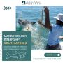 Internship South Africa