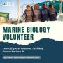 Marine Biology Volunteer Marine Biology Volunteer