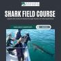 Shark Field Course