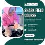 Shark Field Course