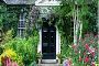 Transform Your Home And Garden