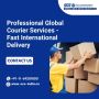 Professional Global Courier Services