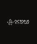 Octopus Renovation Group
