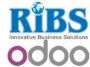 Unlock Business Insights with Odoo Analytics & Reporting