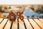 Property portfolio optimization services