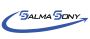 Expert Financial Planning Services by Salma Sony