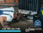 Expert Refrigerator Repair Services You Can Trust
