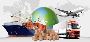 OLC Shipping Line: Best  International Movers Services