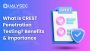 What Is CREST Penetration Testing? Benefits & Importance sin