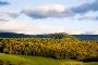 Top Addiction Treatment Albany Programs for Safe Recovery