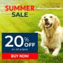 Summer Sale Deal: 20% Discount On All Orders + Free Delivery