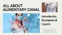 Layers of the Alimentary Canal:- A Quick Guide