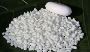 Olivia Oleo PTE LTD - Supplier of Snow White Soap Noodles