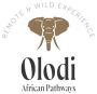 how to plan a family safari in africa