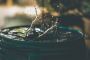 Expert Mold Removal Services in San Diego CA 