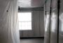 Mold Removal San Diego CA - Olympia Services