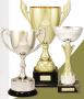 Buy Cricket Trophies in Castle Hill Buy Cricket Trophies in Castle Hill