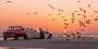 Muscat to Masirah | Muscat Vacation Package | Masirah Island