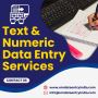 Accurate & Affordable Text & Numeric Data Entry Services