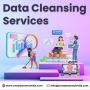 Get High-Quality Data Cleaning Services at Just $4/hour