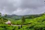 Kerala Tours and Travels