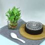 Send Online Cake Delivery in Pune in your Budget from MFT